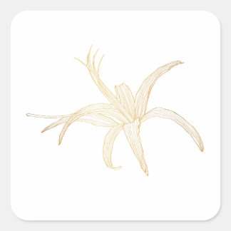 Graphic  golden line image of a gerbera flower. square sticker