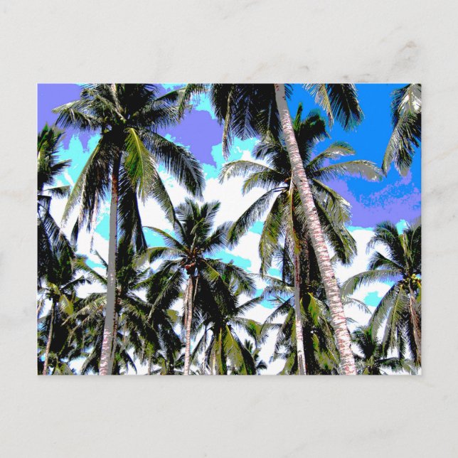 Graphic Palm Trees Design Postcard (Front)