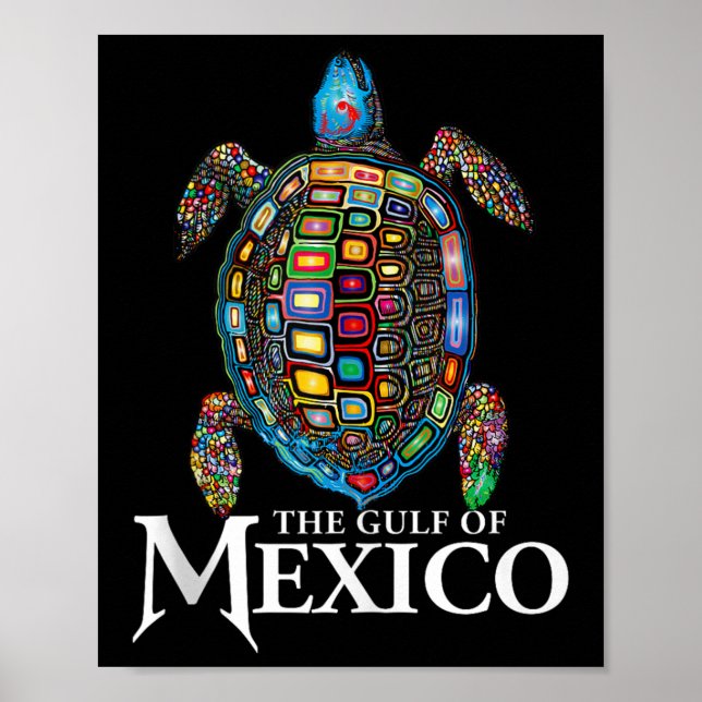 Graphic Sea Turtle Gulf Of Mexico Never Forget Tru Poster (Front)