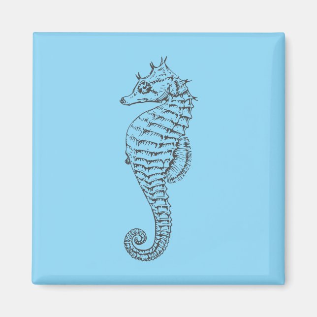 graphic seahorse in light blue magnet (Front)