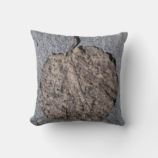Graphic/Textured Cushion (Front)