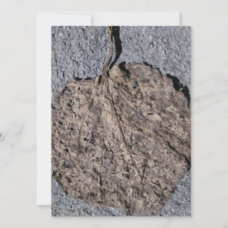 Graphic/Textured Invitation