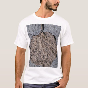 Graphic/Textured T-Shirt
