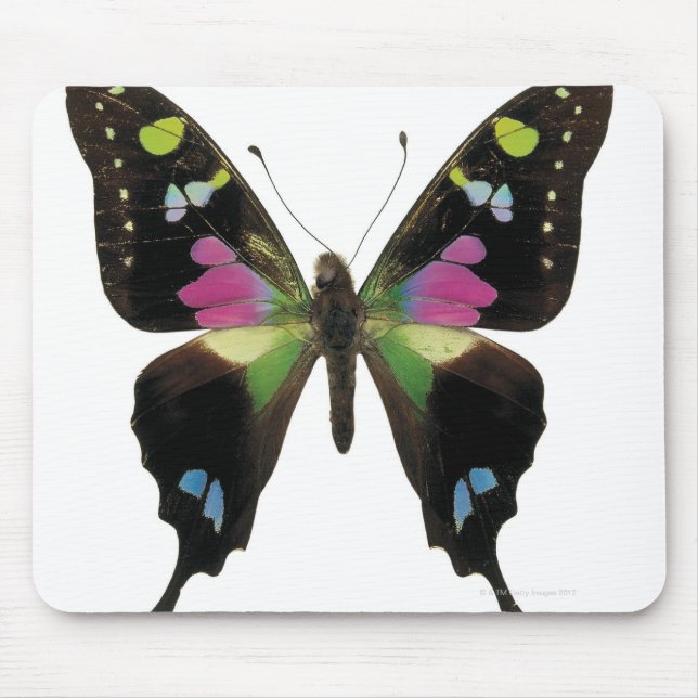 Graphium butterfly mouse mat (Front)