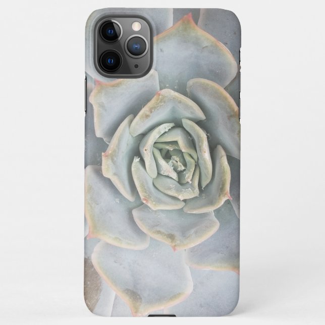 Graptoveria Huths Pink Electronics Bag iPhone Case (Back)