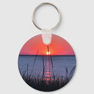 Gräser im Abendlicht - Insel Rügen Key Ring