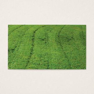 Grass