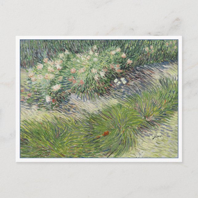 Grass and Butterflies by van Gogh Postcard (Front)