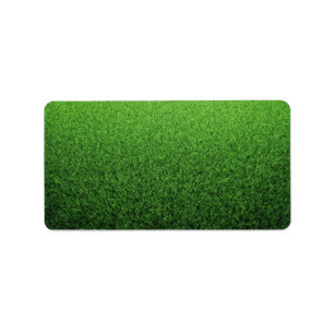 Grass Background. Fresh Green Lawn Label