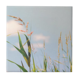 Grass Blue Sky Field Meadow Nature Tile
