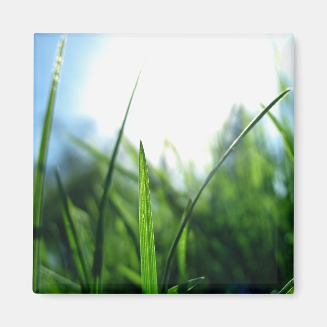 Grass & blue sky magnet (Front)