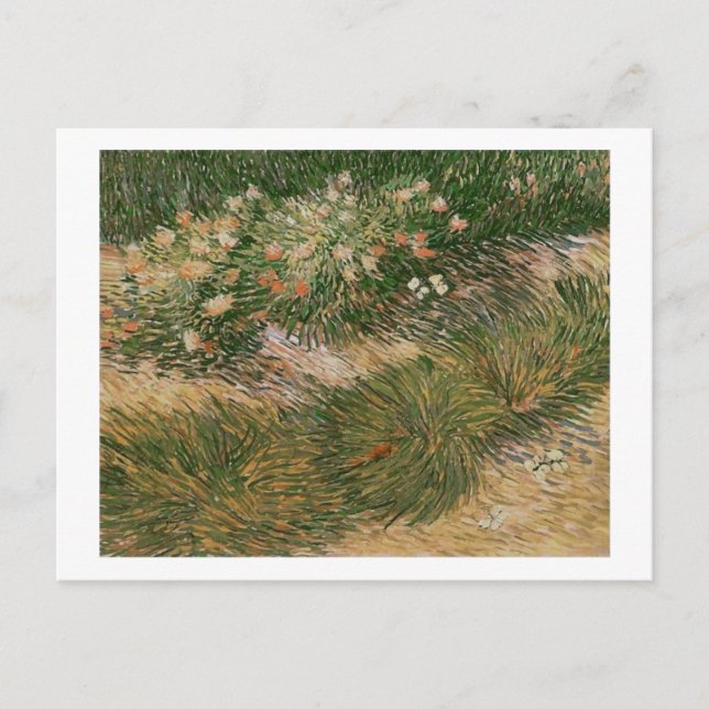 Grass & Butterflies (F460) Van Gogh Fine Art Postcard (Front)