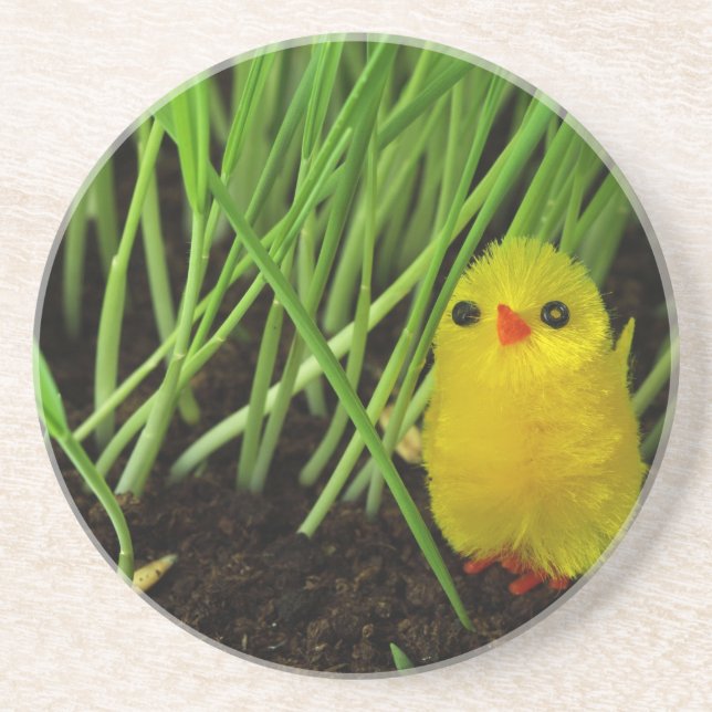 grass chick coaster (Front)
