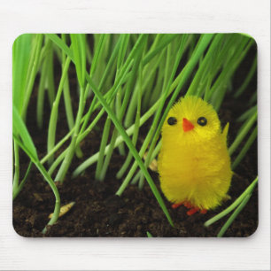grass chick mouse mat