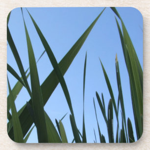 Grass Coasters
