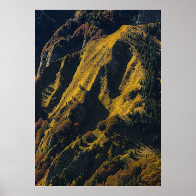 Grass covered mountain in autumn poster (Front)