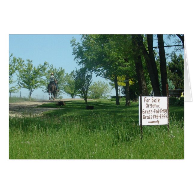 Grass Fed Organic Eggs (Front Horizontal)