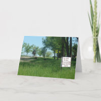 Grass Fed Organic Eggs