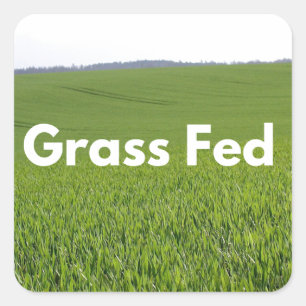 Grass Fed Square Sticker