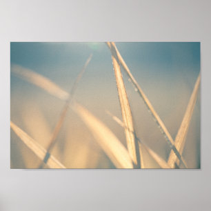 Grass Floral Nature Photo Poster