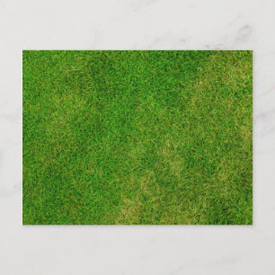 Grass Lawn Postcard