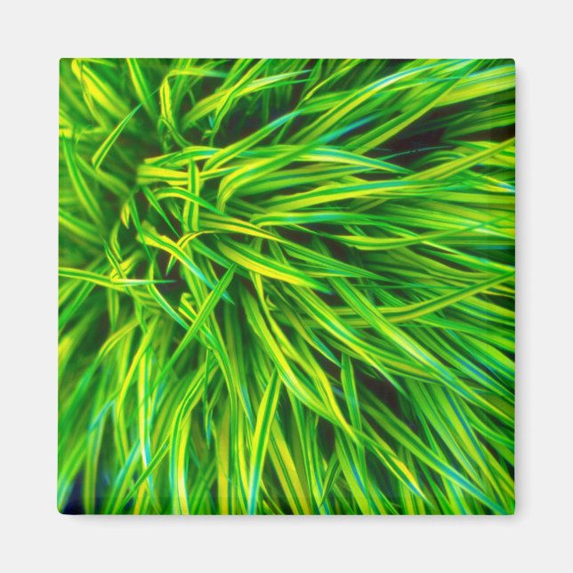 Grass Magnet (Front)