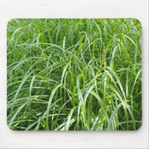 grass mouse mat