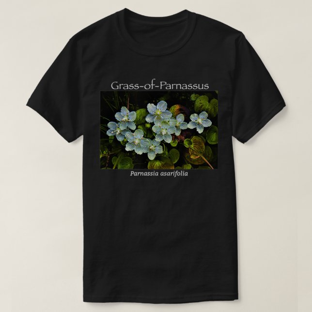 Grass-of-Parnassus Wildflower T-Shirt (Design Front)