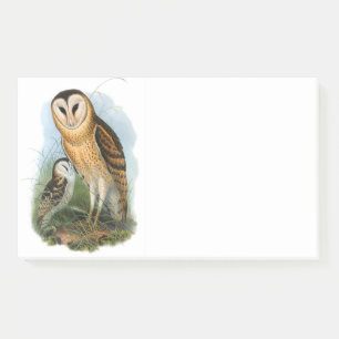 Grass Owl , 10" x 6" Post-it® Notes