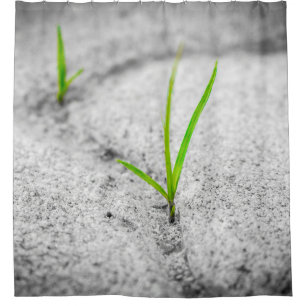 Grass pavement brick poetry stone shower curtain