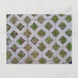 Grass Paver With Chequered Pattern Postcard