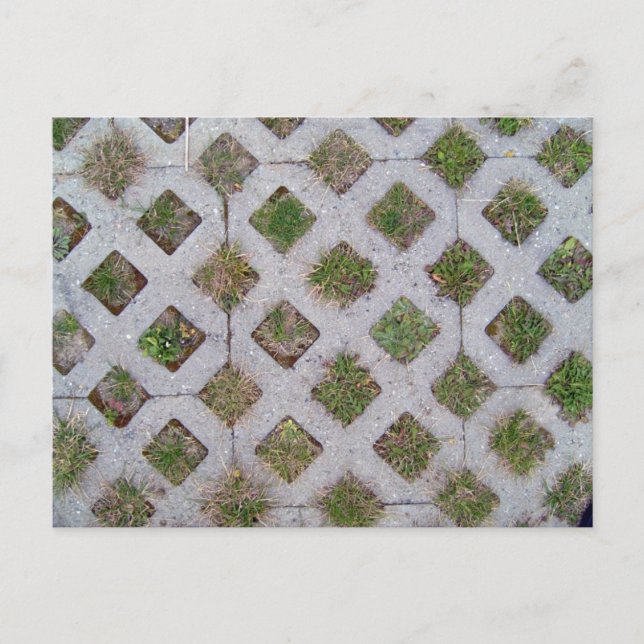 Grass Paver With Chequered Pattern Postcard (Front)