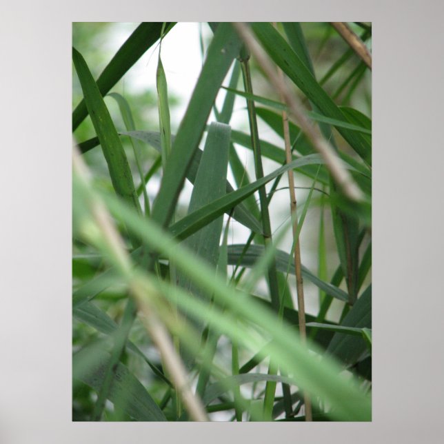 grass poster (Front)