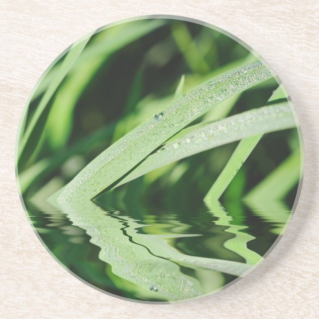 grass reflections coaster (Front)