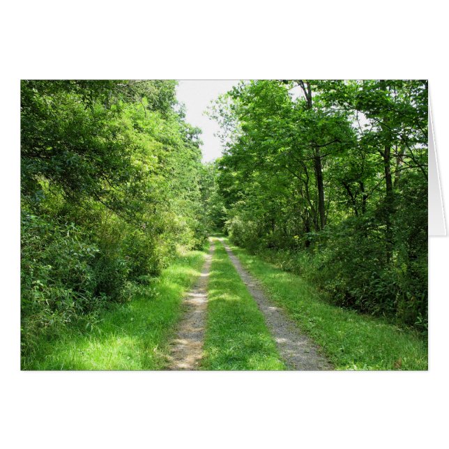 Grass Road into Woods (Front Horizontal)