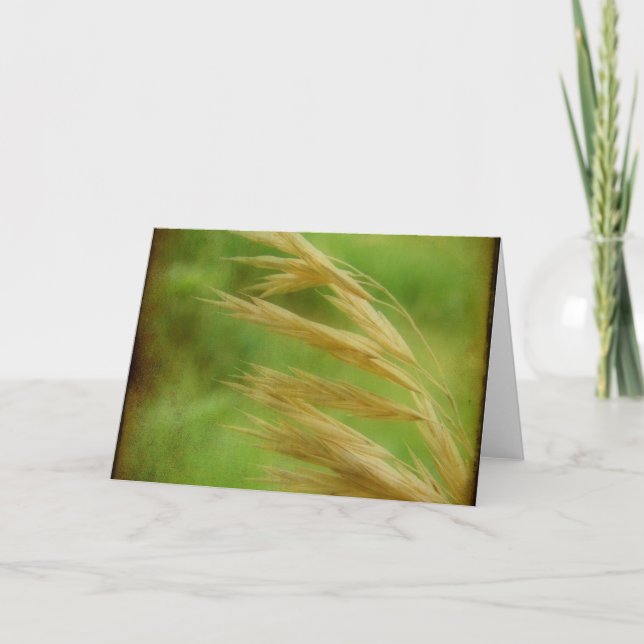 Grass Seed Card (Front)