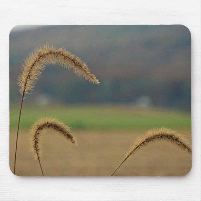 Grass Seed Stalks Mouse Mat (Front)
