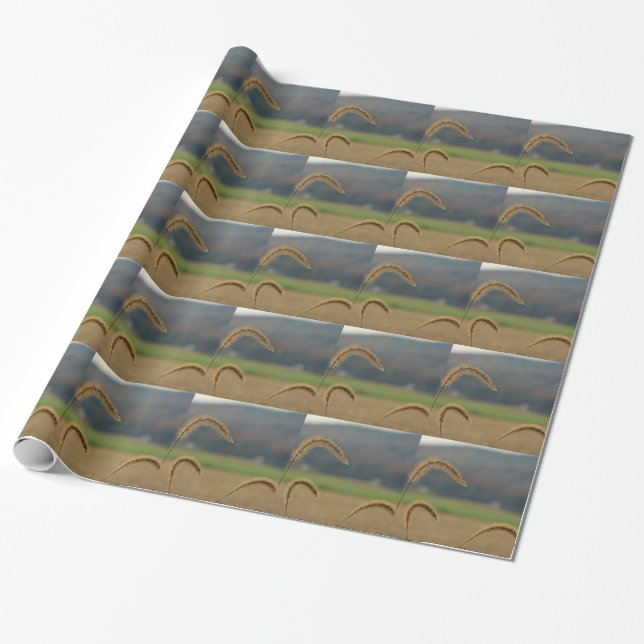 Grass Seed Stalks Wrapping Paper (Unrolled)