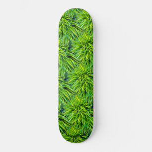 Grass Skateboard