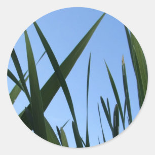 Grass Stickers