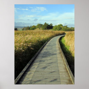 grass walkway poster