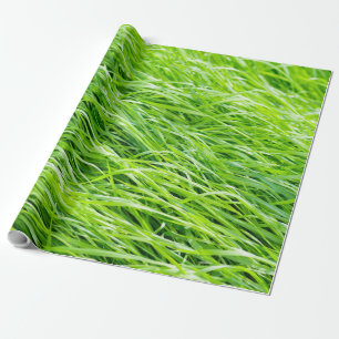 Grass Wrapping Paper