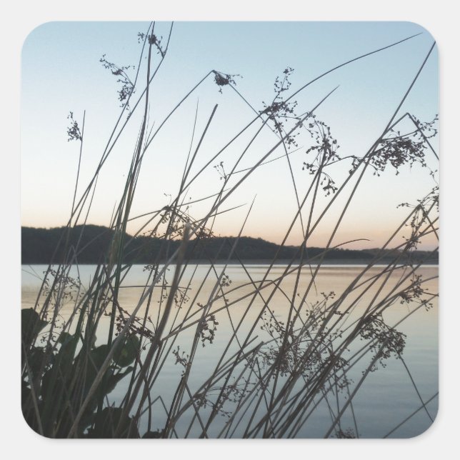 Grasses at lake Sunset Square Sticker (Front)