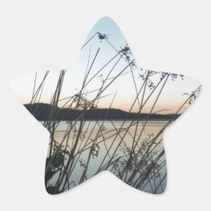Grasses at lake Sunset Star Sticker