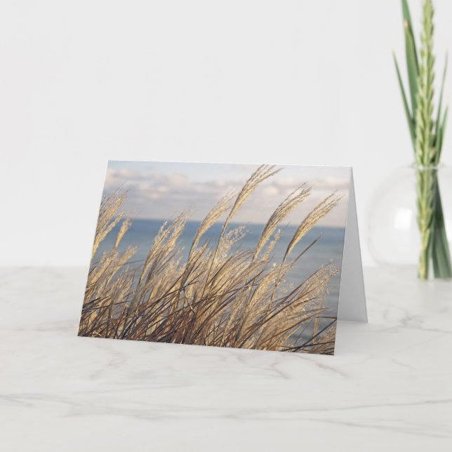 Grasses Card (Front)