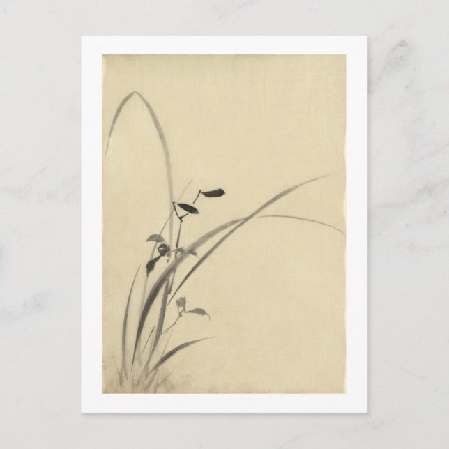 Grasses, Hokusai Japanese Fine Art Postcard (Front)