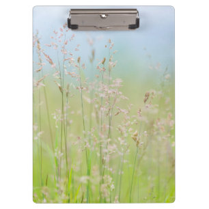 Grasses in motion clipboard