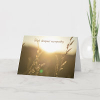 Grasses in sunlight  -  With deepest sympathy