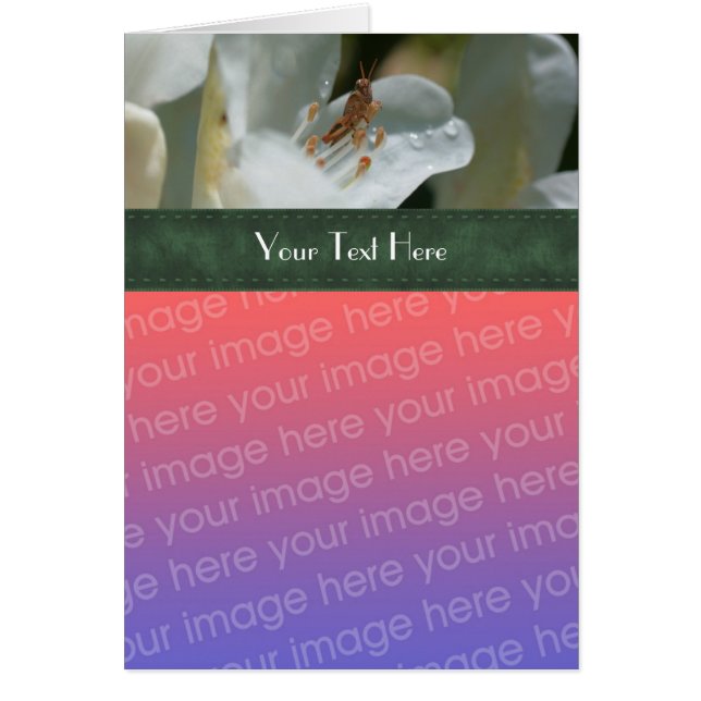 Grasshopper And Azalea Floral Photo Card (Front)