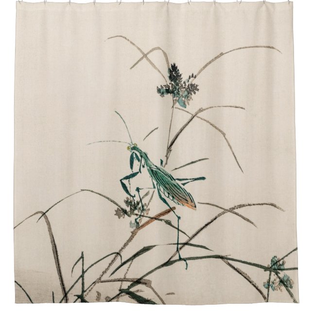 Grasshopper by Kōno Bairei  Shower Curtain (Front)